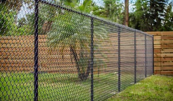 A chain link fence with trees in the background.